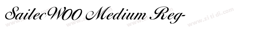 SailecW00 Medium Reg字体转换